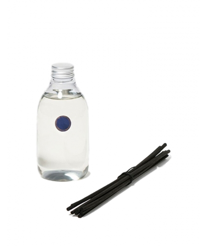 REFILL ODALISQUE REED...