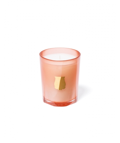 TUILERIES BOUGIE